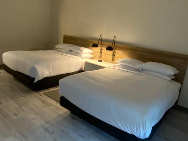 Wyndham Garden Orlando Airport - Free Airport Shuttle : photo 9 de la chambre chambre 2 lits queen-size - non-fumeurs