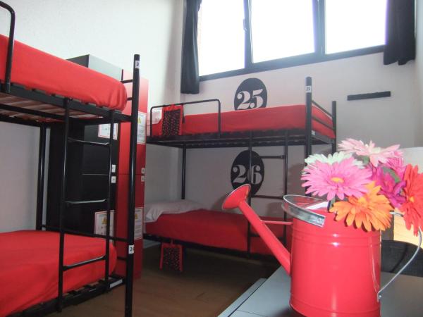 Bilbao Akelarre Hostel : photo 9 de la chambre lit simple dans dortoir de 4 lits
