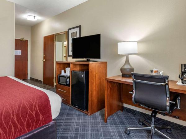 Comfort Inn Oklahoma City South - I-240 : photo 1 de la chambre chambre lit king-size pour personnes à mobilité réduite avec baignoire accessible en fauteuil roulant - non-fumeurs