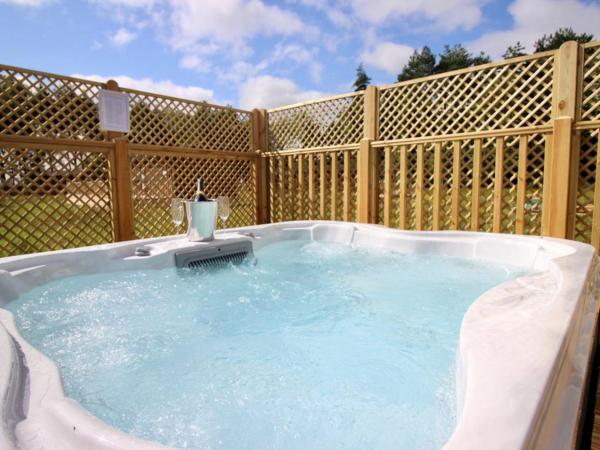 Hollicarrs - Bumblebee Lodge : photo 5 de la chambre appartement 2 chambres