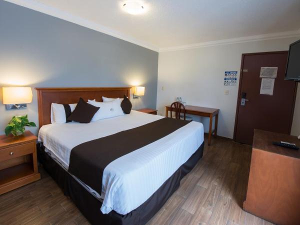 Del Marques Hotel and Suites : photo 4 de la chambre suite lit king-size