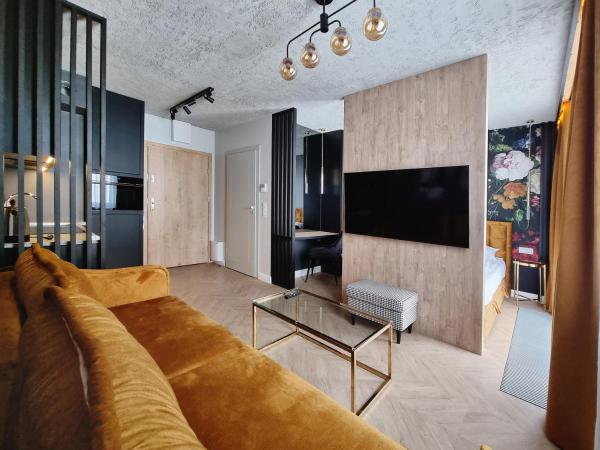 Silesia Aparthotel : photo 2 de la chambre studio