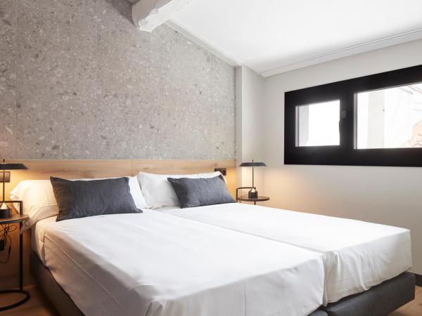 Hostal Espoz y Mina : photo 6 de la chambre chambre lits jumeaux mansardée