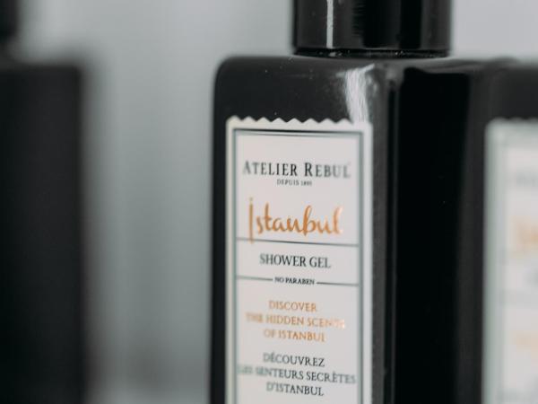 Sud d'Anvers : photo 1 de la chambre suite en duplex