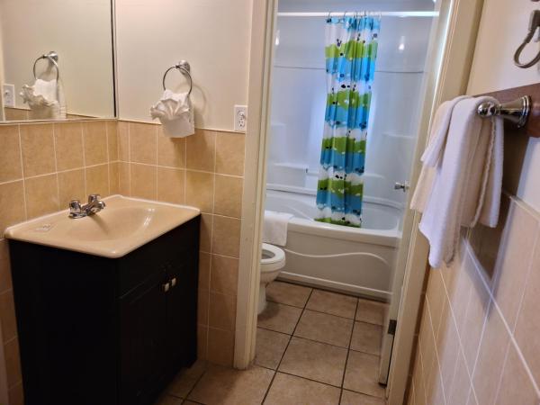 Choice Inn by the falls : photo 10 de la chambre suite lune de miel