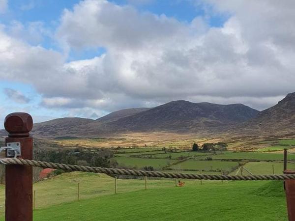 Gorse Hill Glamping : photo 3 de la chambre pod