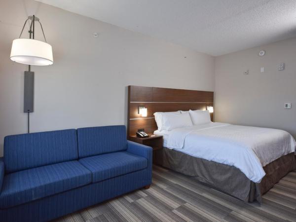 Holiday Inn Express & Suites - Orlando - Southeast, an IHG Hotel : photo 2 de la chambre suite lit king-size – non-fumeurs