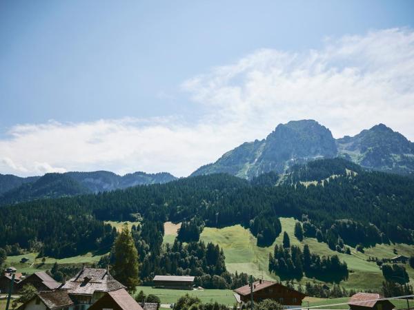 Hôtel de Rougemont & Spa : photo 4 de la chambre suite de grand standing avec terrasse - vue sur montagnes