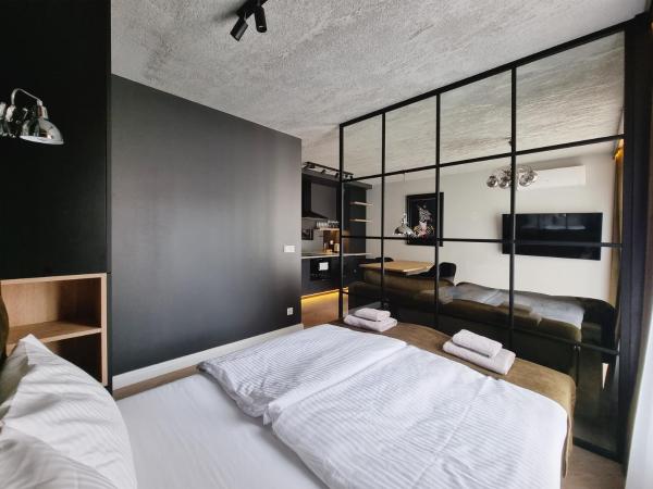 Silesia Aparthotel : photo 4 de la chambre loft