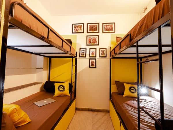 The Hosteller Jodhpur, Old : photo 1 de la chambre lit dans dortoir mixte de 6 lits