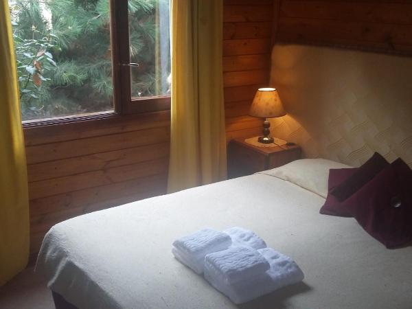 Hosteria Rukahué : photo 8 de la chambre chambre double