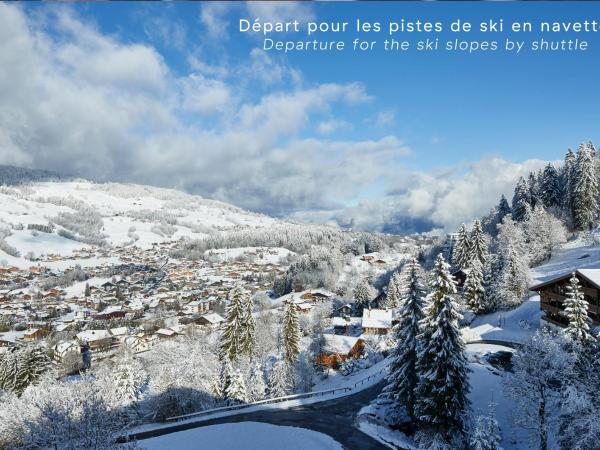Hôtel L'Arboisie : photo 1 de la chambre la très grande suite avec balcon