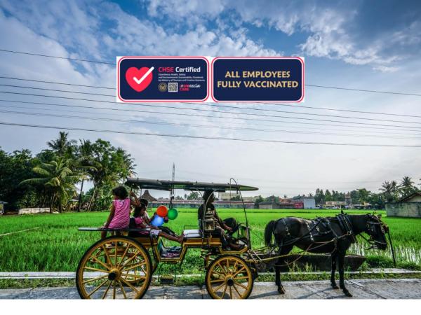 D'omah Yogya Hotel : photo 9 de la chambre chambre patrimoine de luxe