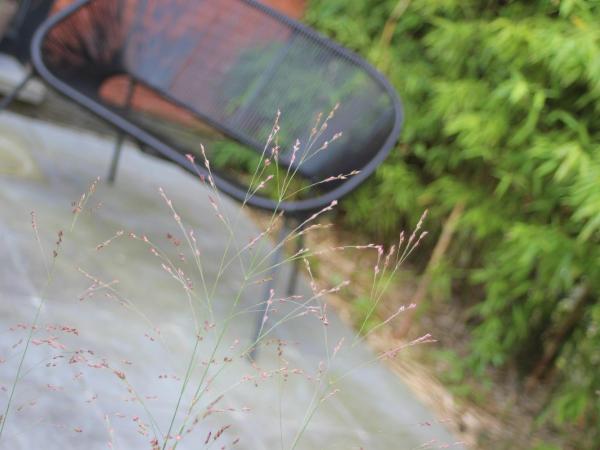 Selemo B&B - Business and leisure - guestroom with private entrance - ensuite bathroom - free parking : photo 1 de la chambre chambre double avec terrasse