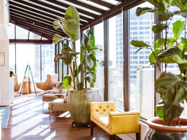 Hotel Theodore : photo 1 de la chambre the roosevelt suite