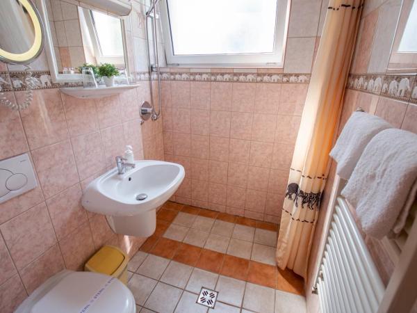 Richter Pansion : photo 3 de la chambre appartement 2 chambres