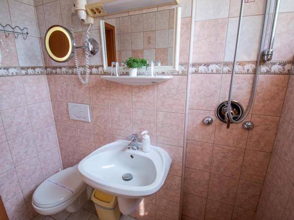 Richter Pansion : photo 2 de la chambre appartement 2 chambres