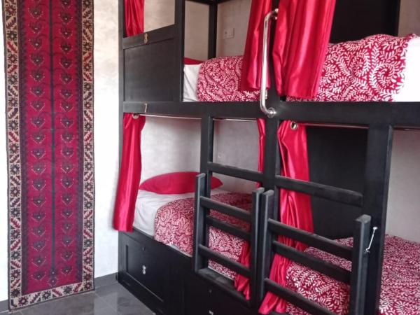 Stork Marrakech Luxury Hostel : photo 2 de la chambre lit superposé dans dortoir pour femmes