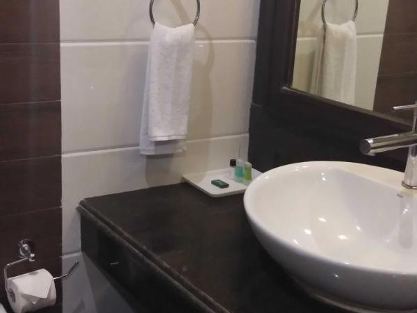 HOTEL PITRASHISH PRIDE IGI Intl AIRPORT DELHI : photo 5 de la chambre chambre double supérieure