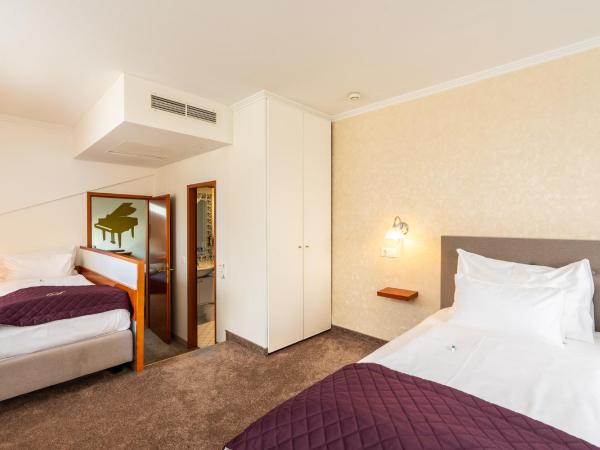 Hotel Am Schubertring : photo 2 de la chambre chambre supérieure