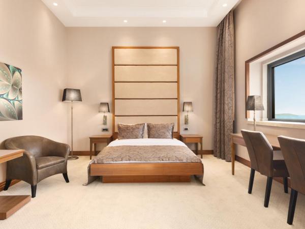 Days Hotel by Wyndham Istanbul Maltepe : photo 3 de la chambre chambre supérieure avec lit double