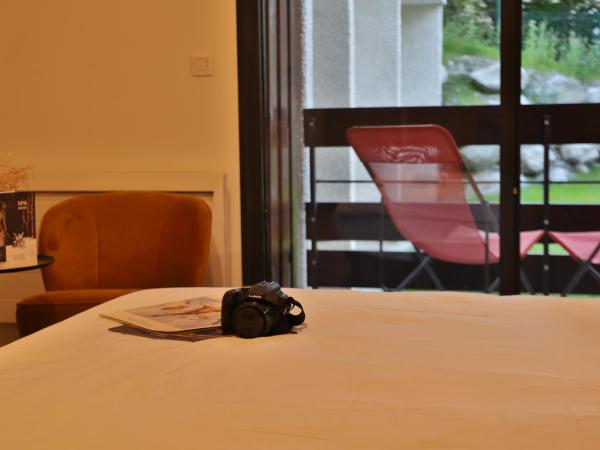 SOWELL HOTELS Mont Blanc et SPA : photo 10 de la chambre chambre double