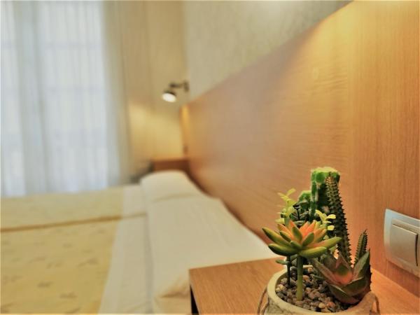Roquefer Bilbao Central Rooms : photo 10 de la chambre chambre double ou lits jumeaux avec salle de bains privative