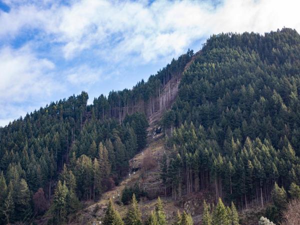 The Whistler Holiday Apartments : photo 6 de la chambre appartement supérieur 1 chambre