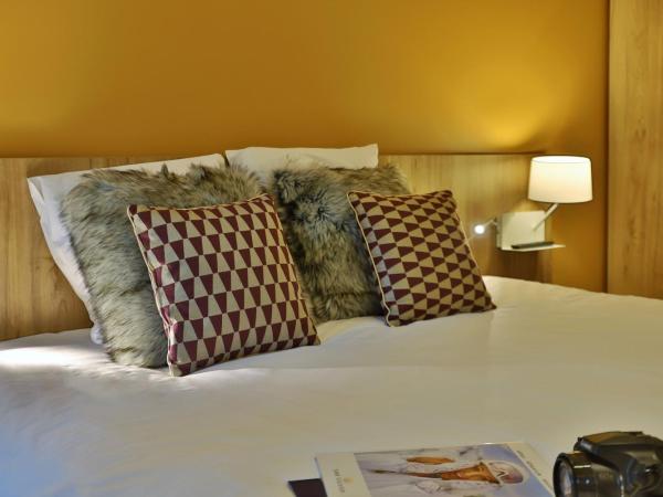 SOWELL HOTELS Mont Blanc et SPA : photo 3 de la chambre chambre double
