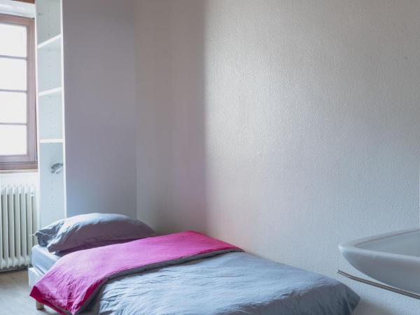 Hôtel du Cheval-Blanc : photo 1 de la chambre chambre simple avec douche 