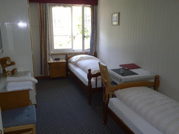Swiss Lodge Hotel Bernerhof : photo 6 de la chambre chambre lits jumeaux avec salle de bains commune