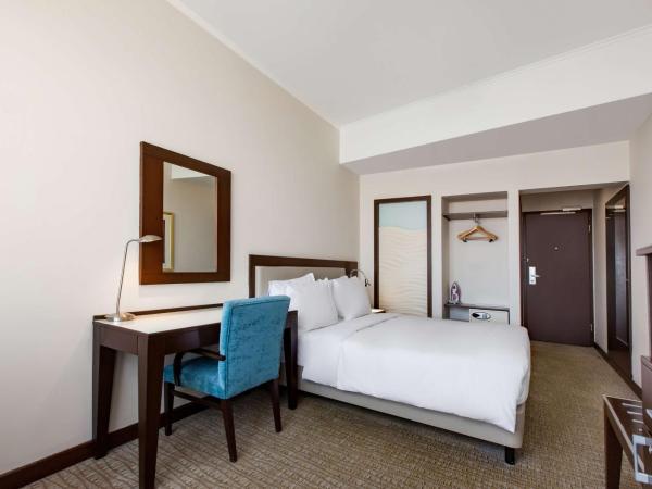 Radisson Blu Ankara : photo 3 de la chambre chambre standard