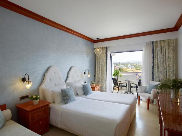 Serita Beach Hotel : photo 3 de la chambre chambre double - vue sur jardin