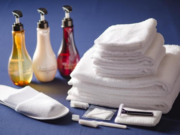 Hotel Tokyo Garden Palace : photo 6 de la chambre chambre double avec petit lit double - fumeurs