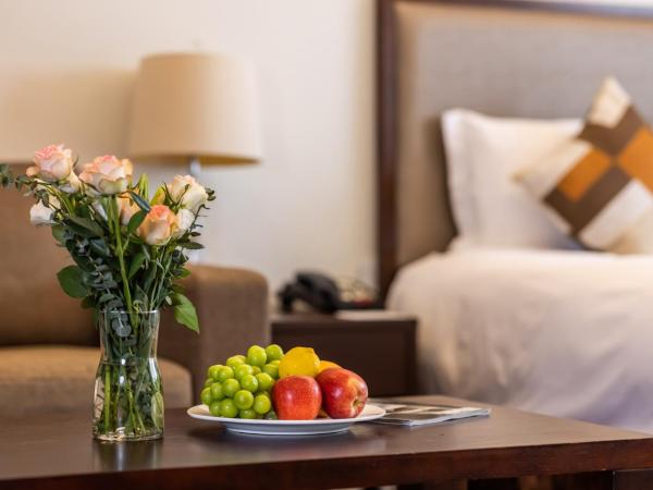 Starr Hotel Shanghai (Shanghai Railway Station) : photo 5 de la chambre studio double premier