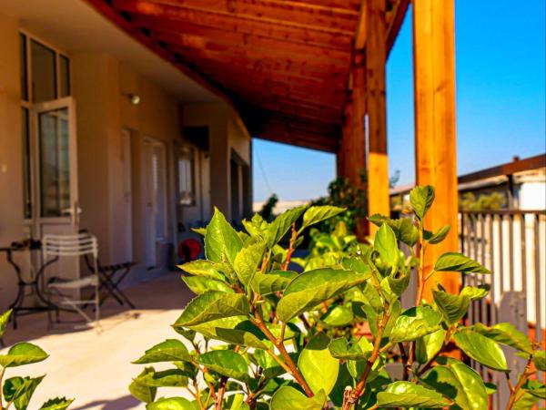 Carolina Hotel since 1934 : photo 10 de la chambre chambre double ou lits jumeaux - jardin sur le toit