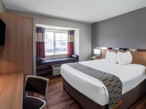 Microtel Inn & Suites by Wyndham Savannah/Pooler : photo 4 de la chambre chambre lit queen-size - pour personnes à mobilité réduite - douche accessible en fauteuil roulant - non-fumeurs 