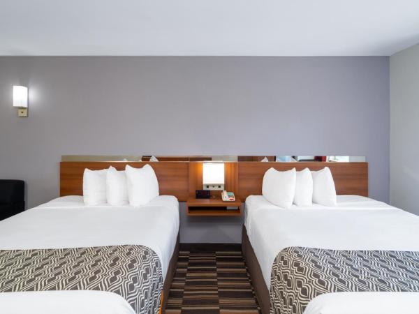 Microtel Inn & Suites by Wyndham Savannah/Pooler : photo 3 de la chambre chambre 2 lits queen-size - non-fumeurs