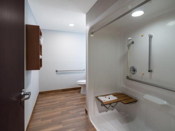 Microtel Inn & Suites by Wyndham Savannah/Pooler : photo 1 de la chambre chambre lit queen-size - pour personnes à mobilité réduite - douche accessible en fauteuil roulant - non-fumeurs 