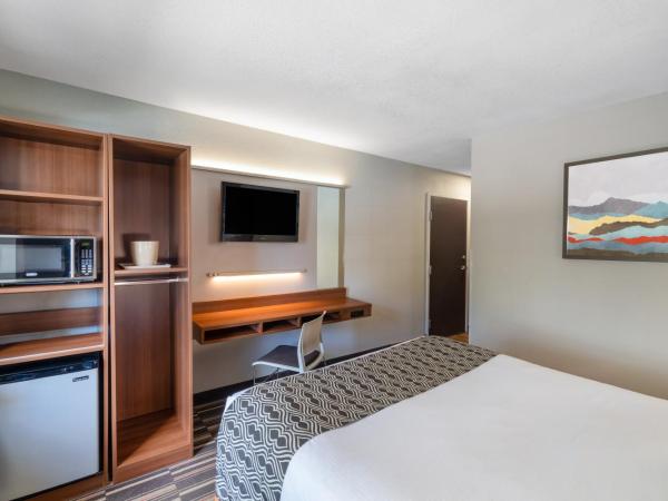 Microtel Inn & Suites by Wyndham Savannah/Pooler : photo 3 de la chambre chambre lit queen-size - pour personnes à mobilité réduite - douche accessible en fauteuil roulant - non-fumeurs 