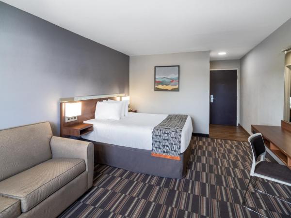 Microtel Inn & Suites by Wyndham Savannah/Pooler : photo 6 de la chambre chambre lit king-size - non-fumeurs