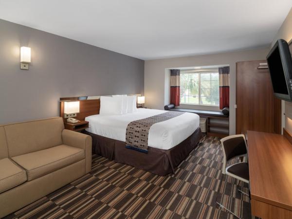 Microtel Inn & Suites by Wyndham Savannah/Pooler : photo 1 de la chambre chambre lit king-size - non-fumeurs