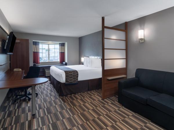 Microtel Inn & Suites by Wyndham Savannah/Pooler : photo 2 de la chambre chambre lit king-size - non-fumeurs