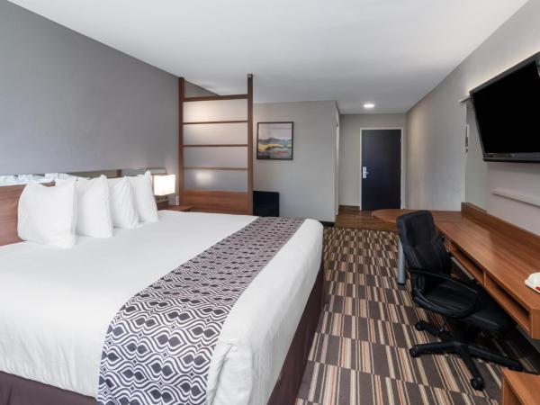 Microtel Inn & Suites by Wyndham Savannah/Pooler : photo 3 de la chambre chambre lit king-size - non-fumeurs