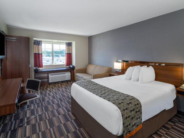 Microtel Inn & Suites by Wyndham Savannah/Pooler : photo 1 de la chambre chambre lit queen-size - non-fumeurs