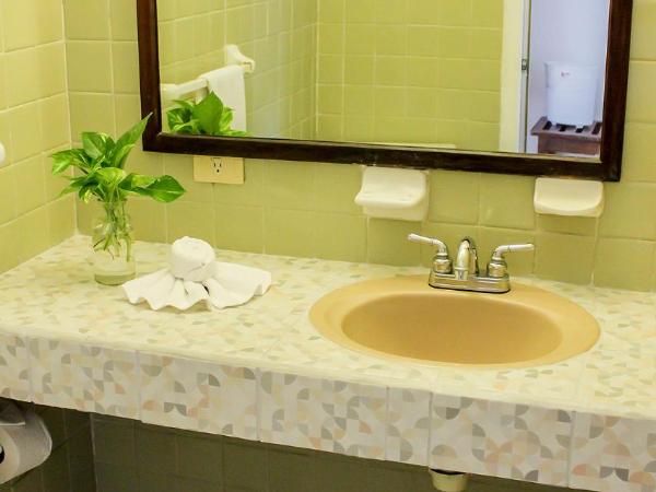 Vallartasol Hotel : photo 4 de la chambre studio