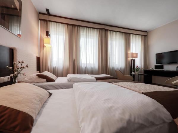 Hotel Borowiecki : photo 3 de la chambre chambre lits jumeaux spacieuse