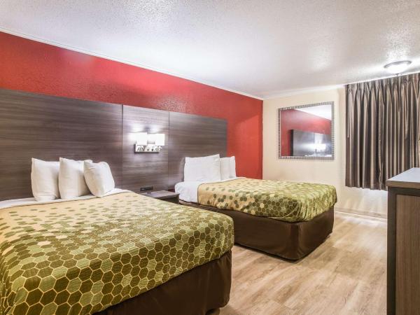 Econo Lodge : photo 1 de la chambre chambre double deluxe avec 2 lits doubles - non-fumeurs