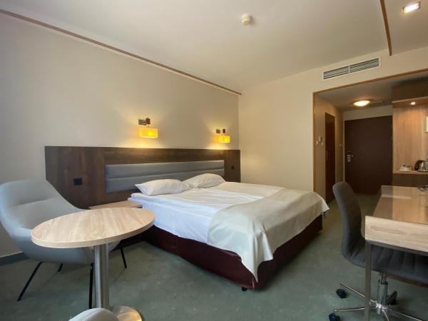 Hotel Ambasador Chojny : photo 3 de la chambre chambre double standard