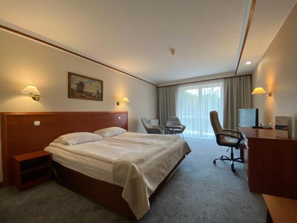Hotel Ambasador Chojny : photo 2 de la chambre chambre double supérieure